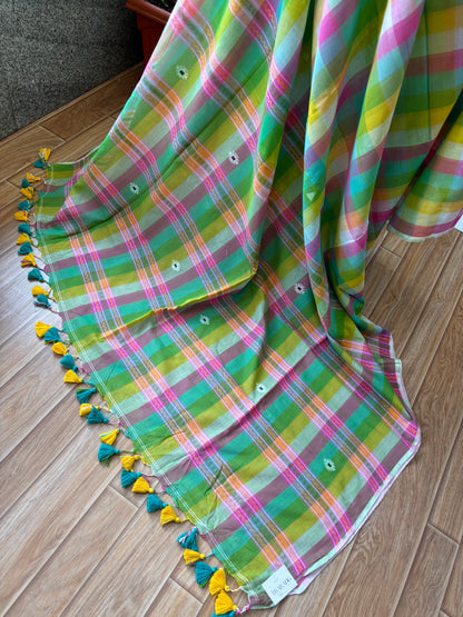 LIGHT GREEN INSPIRED BHUJODI SAREE