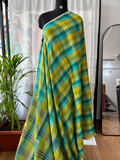 GREEN INSPIRED BHUJODI SAREE