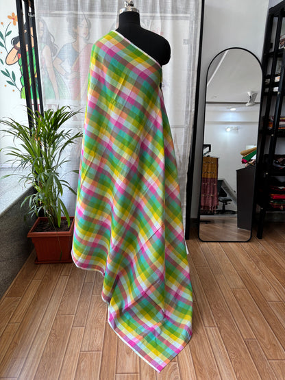 LIGHT GREEN INSPIRED BHUJODI SAREE