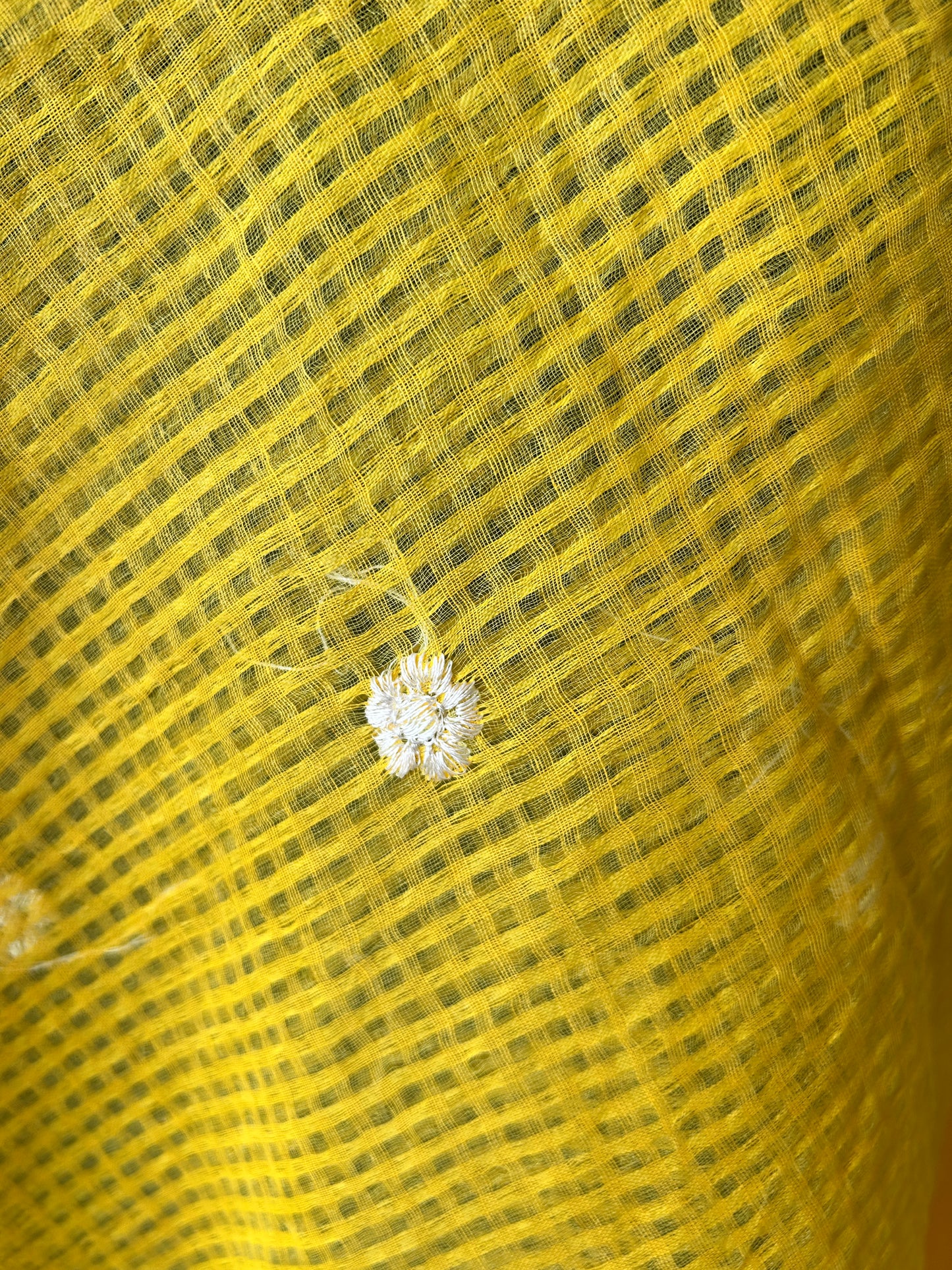 Yellow embroidered kota