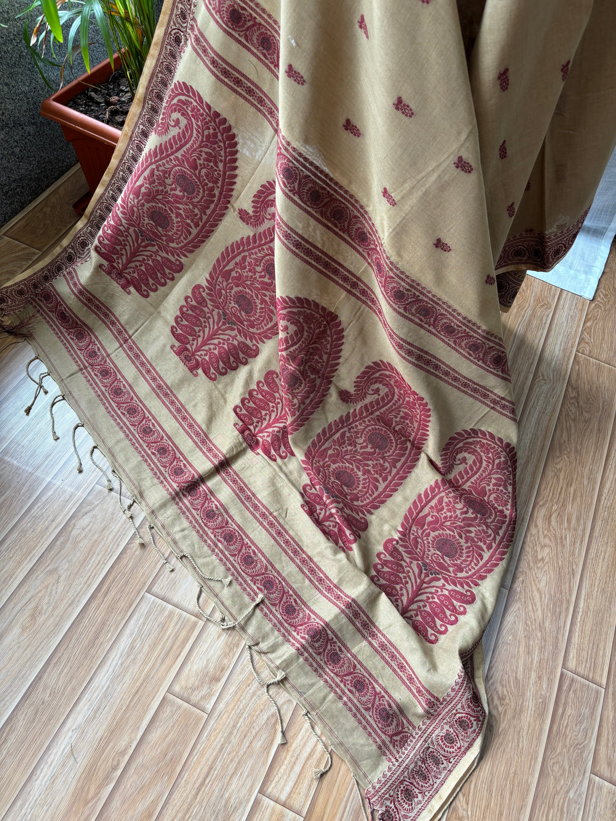 BEIGE MERCERISED SAREE