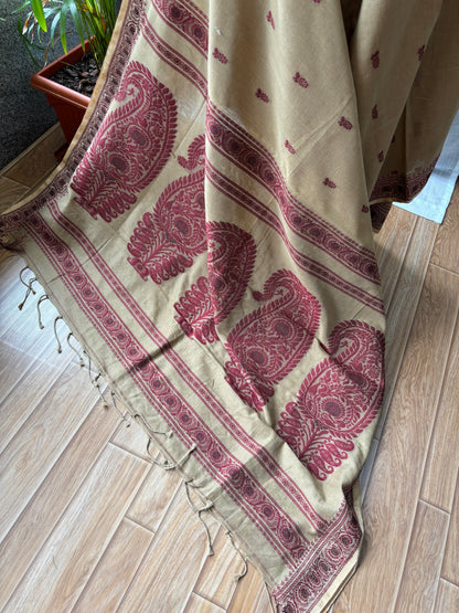 BEIGE MERCERISED SAREE