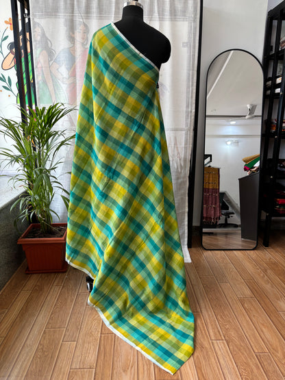 GREEN INSPIRED BHUJODI SAREE