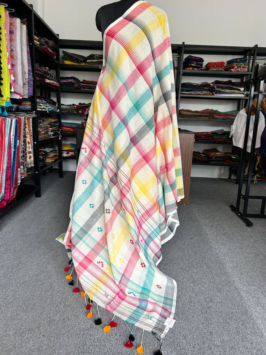 MULTICOLOUR BHUJODI JAMDANI